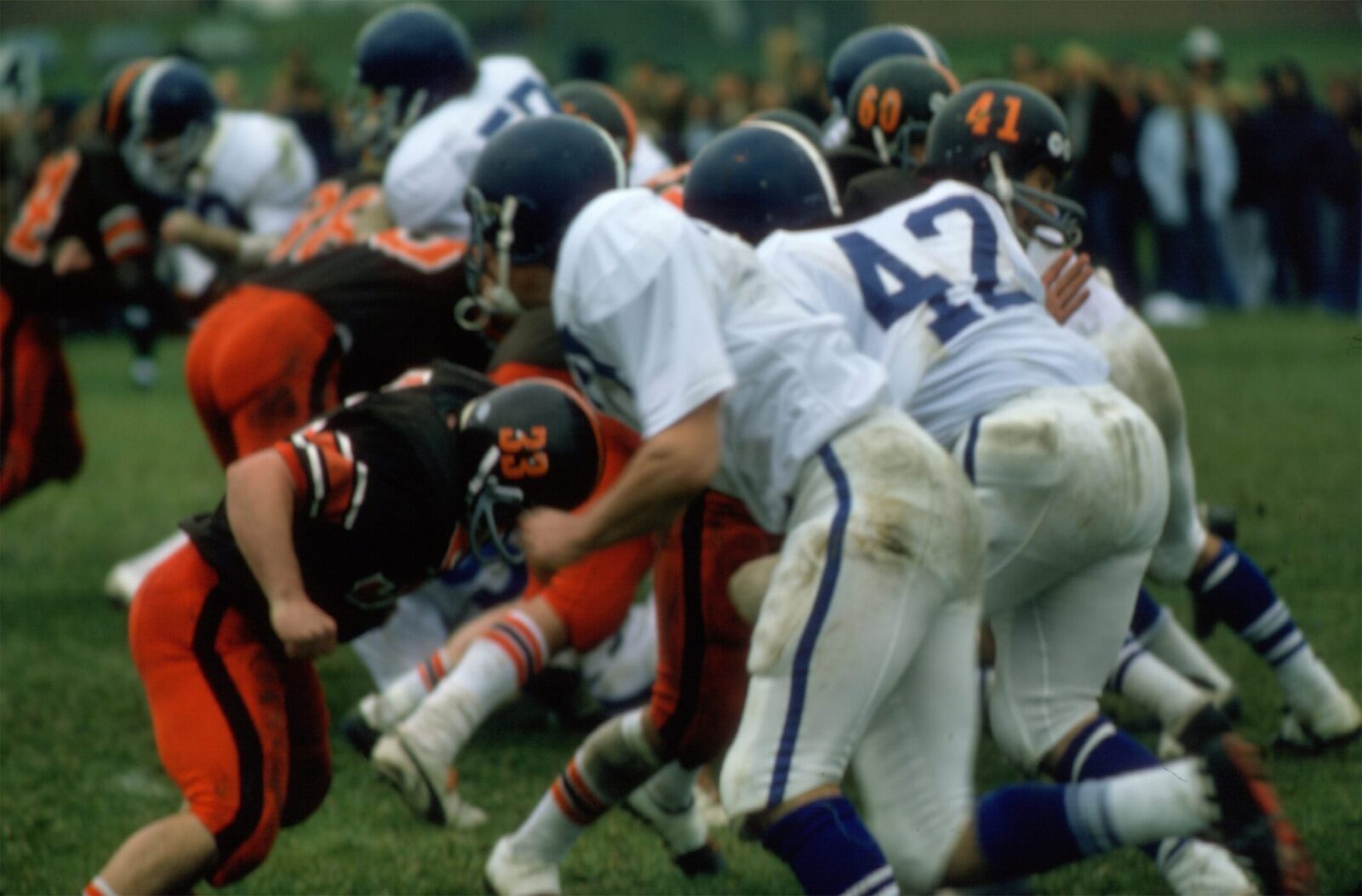 1974-3-Sabino-60-McKee-41-D_Avanzo