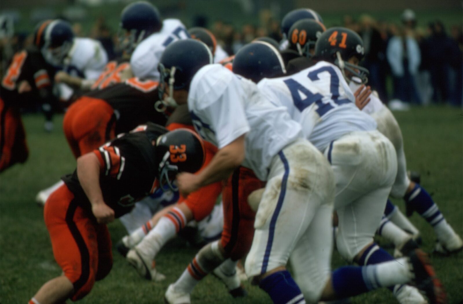 33-Sabino-60-McKee-41-D_Avanzo